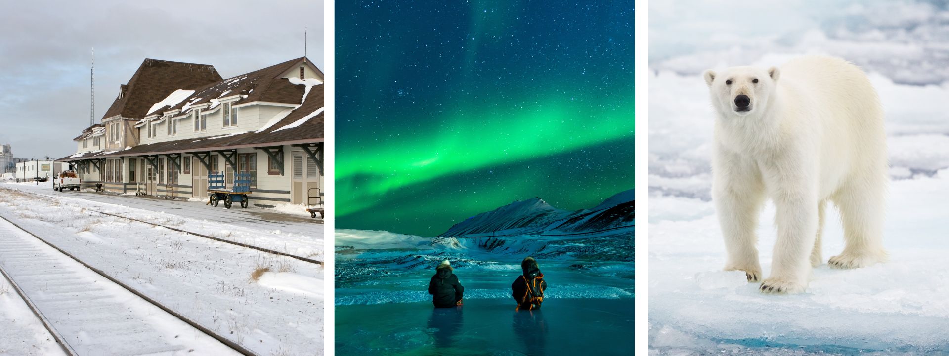 Northern Lights and Polar Bears tour package