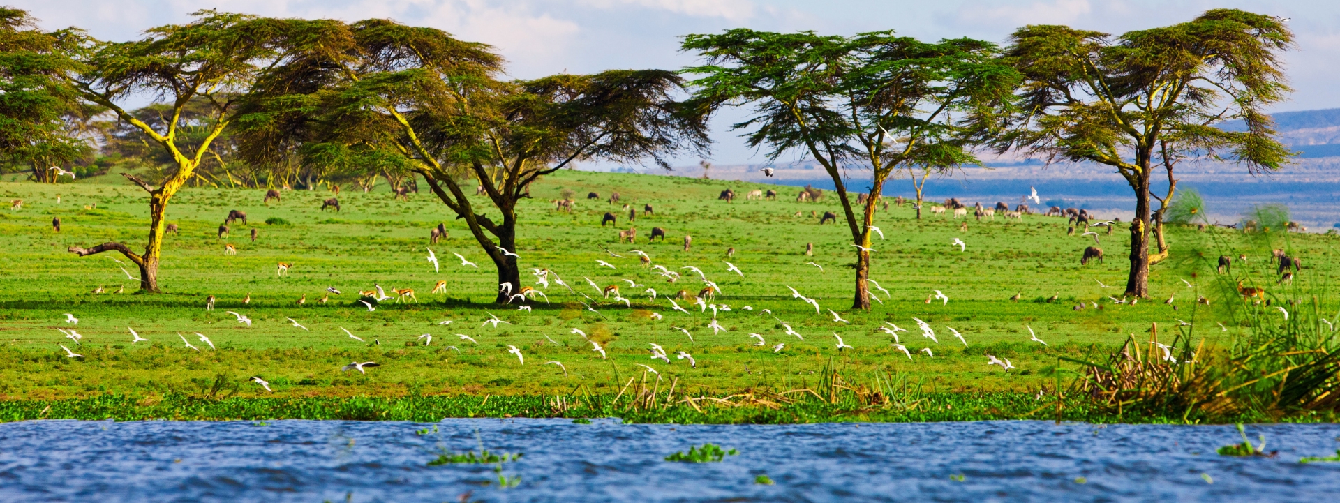 Best of Kenya tour package