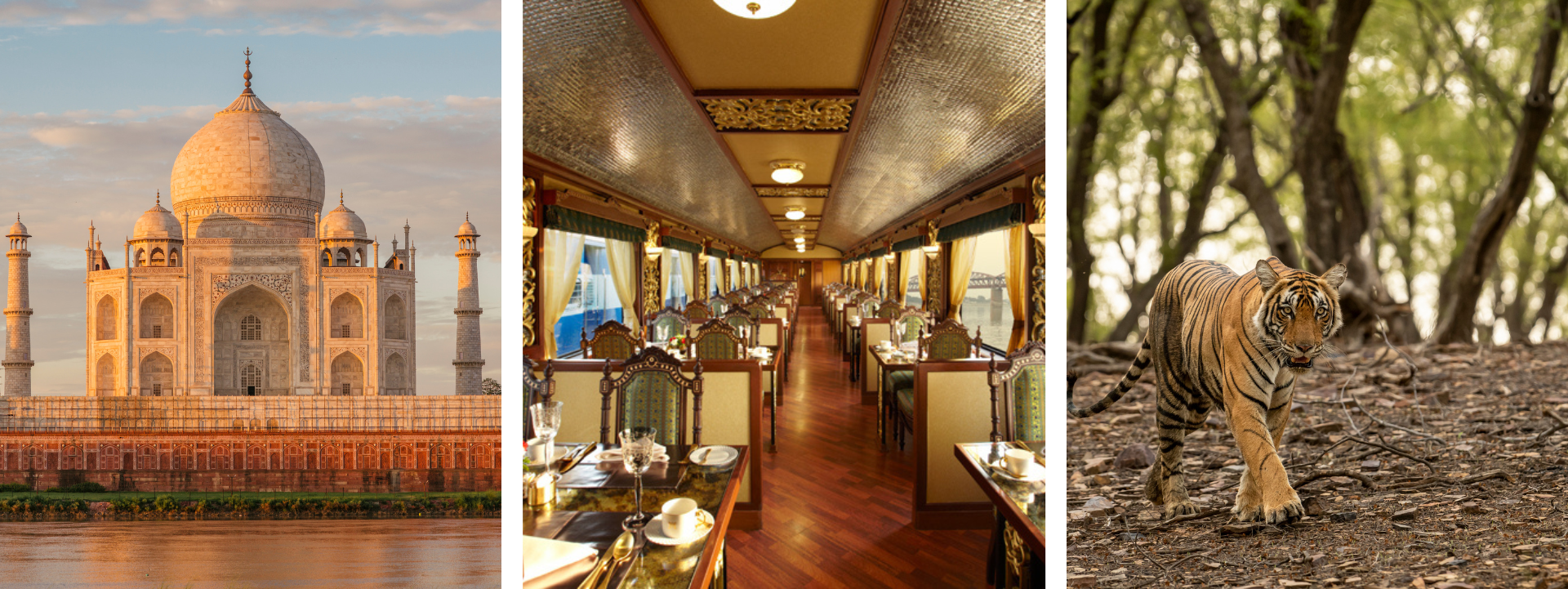 Luxury Trains of India tour package