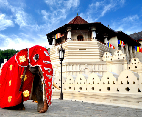 Sri lanka Tour Packages