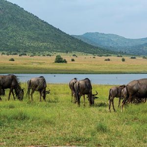 Cape Town, Garden Route & Kruger – 10 Days 9 Nights