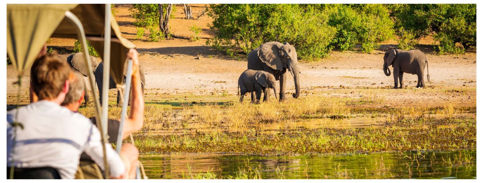 Best Wildlife Tour Operators in India