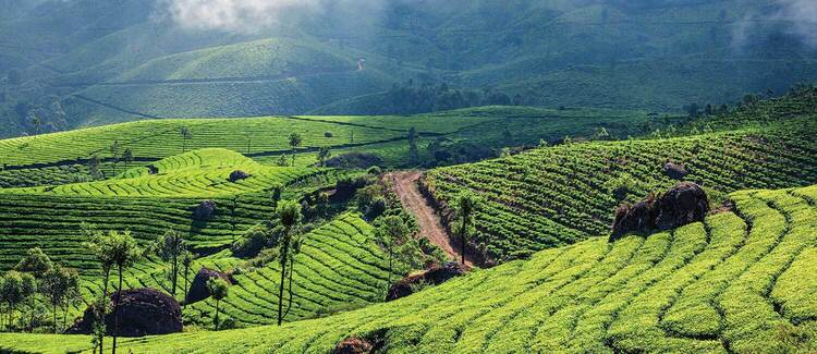 Kerala Tour – 11 Days