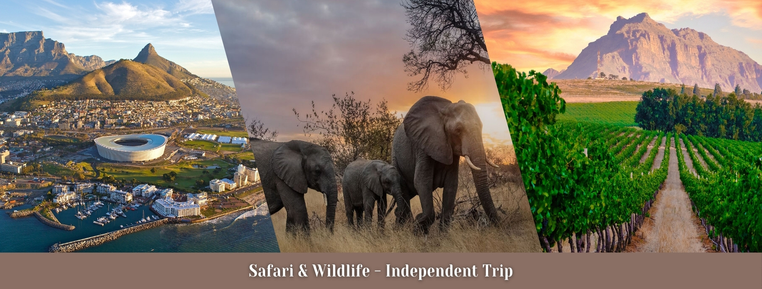 South Africa Tour Packages