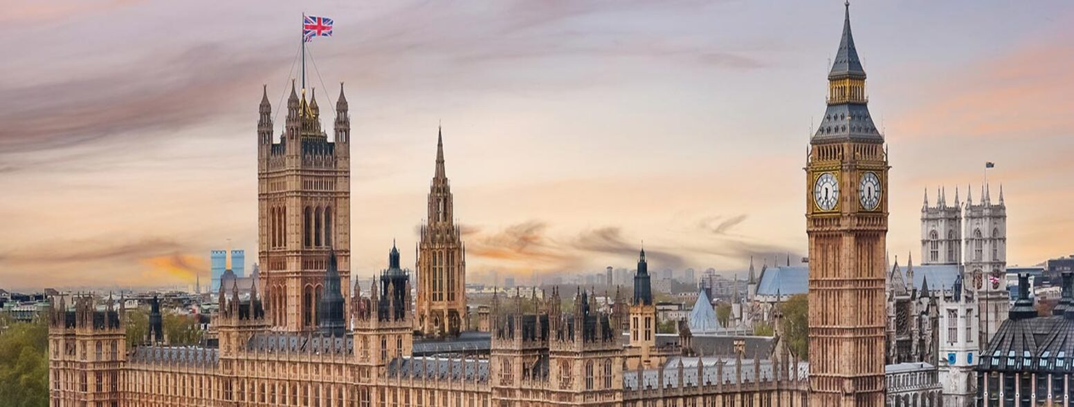 Trail Blazer Tours India