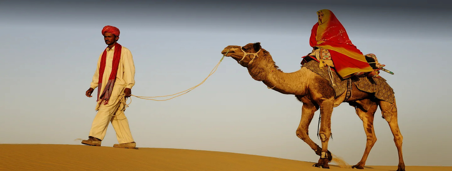 Camel Safaris in the Thar Desert