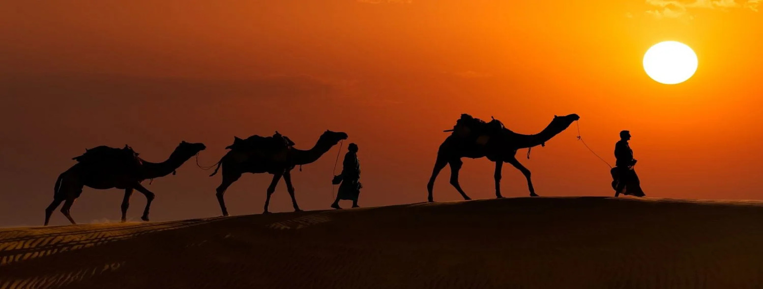 Pushkar Camel Fair