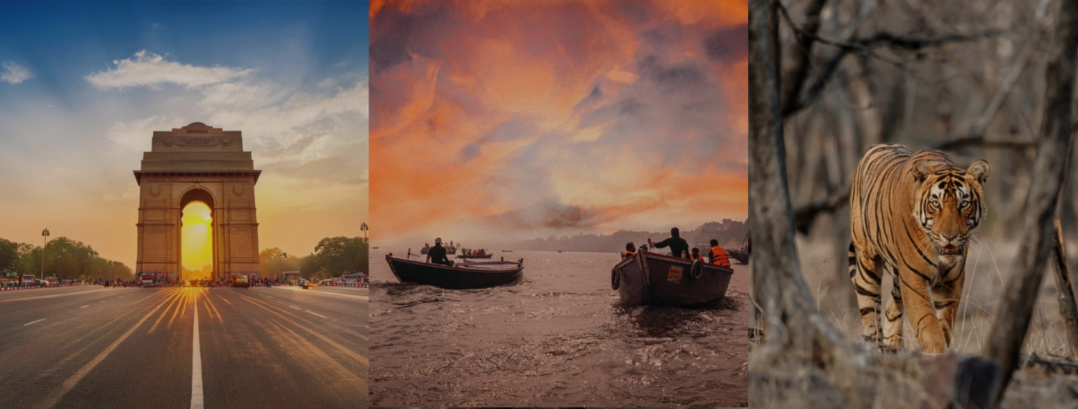 Luxury, Family & Corporate Tours Curated by TBi Tours