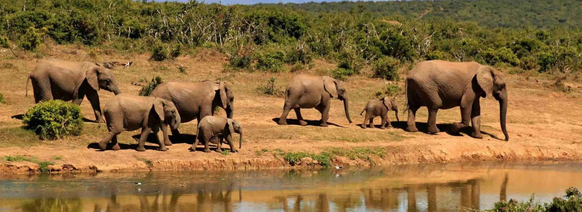 Kenya Safari – 6 nights – 7 days