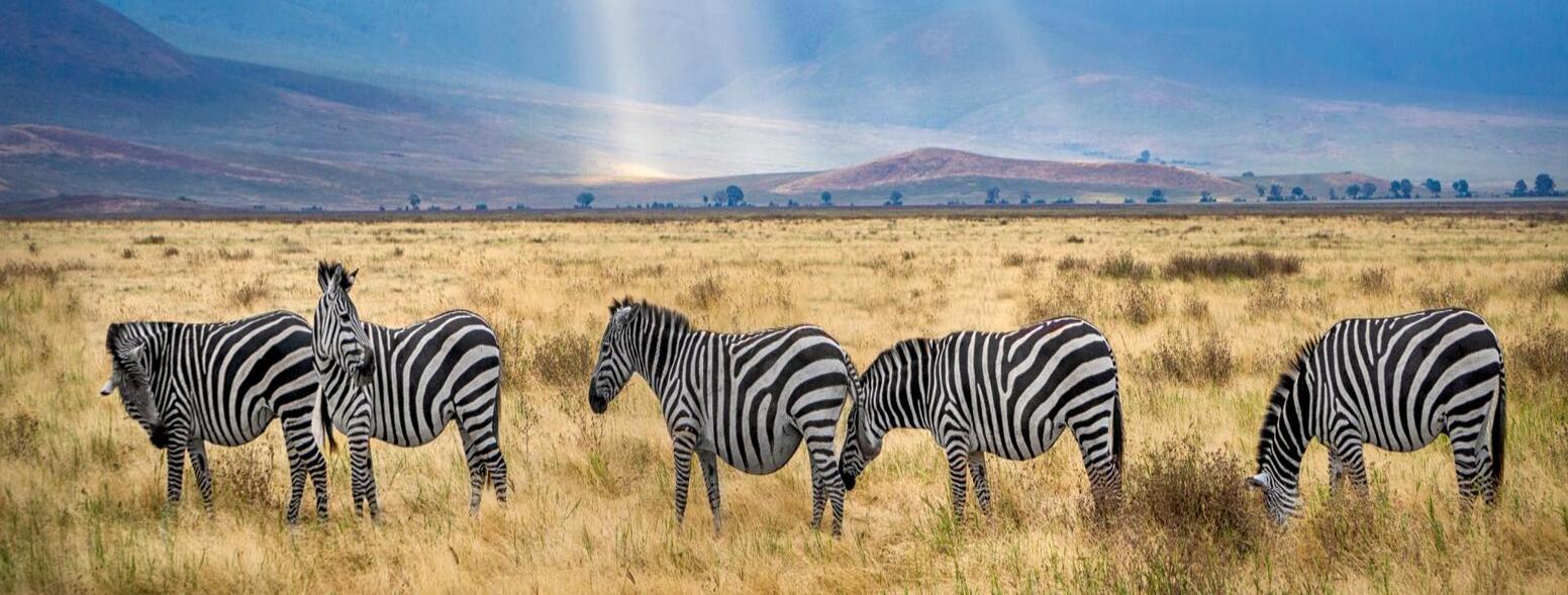 Best Eco-Friendly Tours