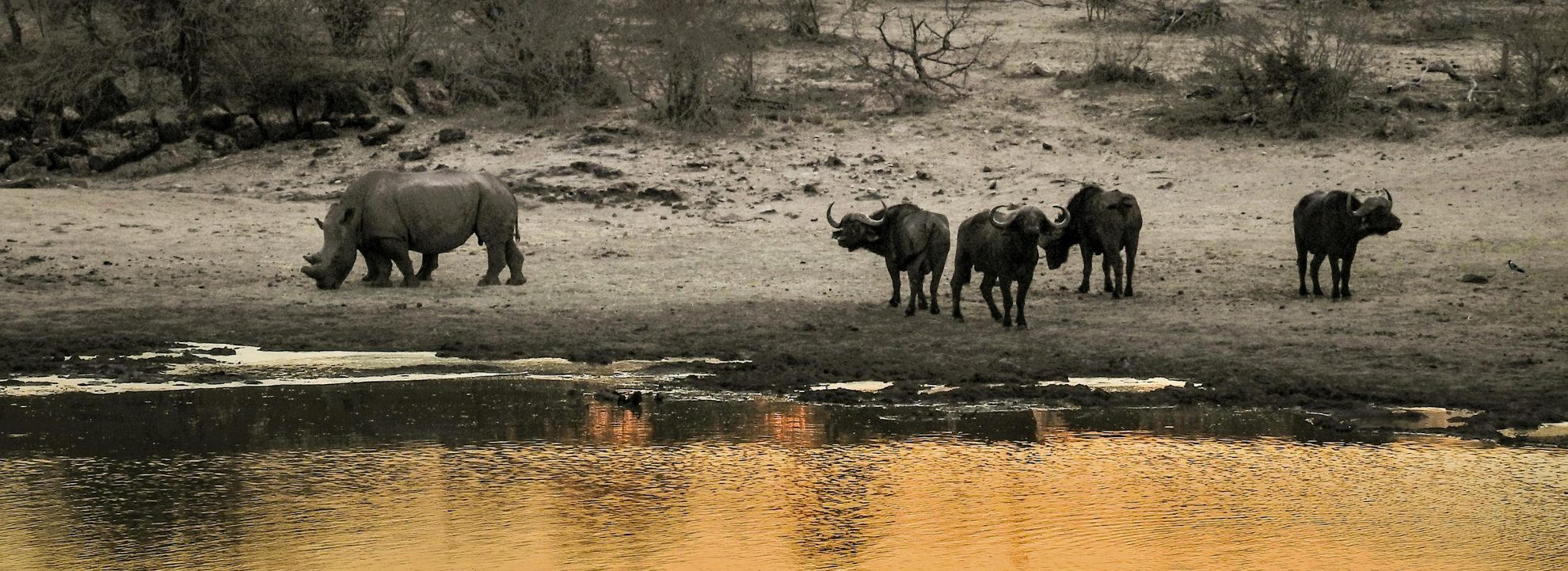 Kruger & Cape Town Experience – 9 night – 10 days