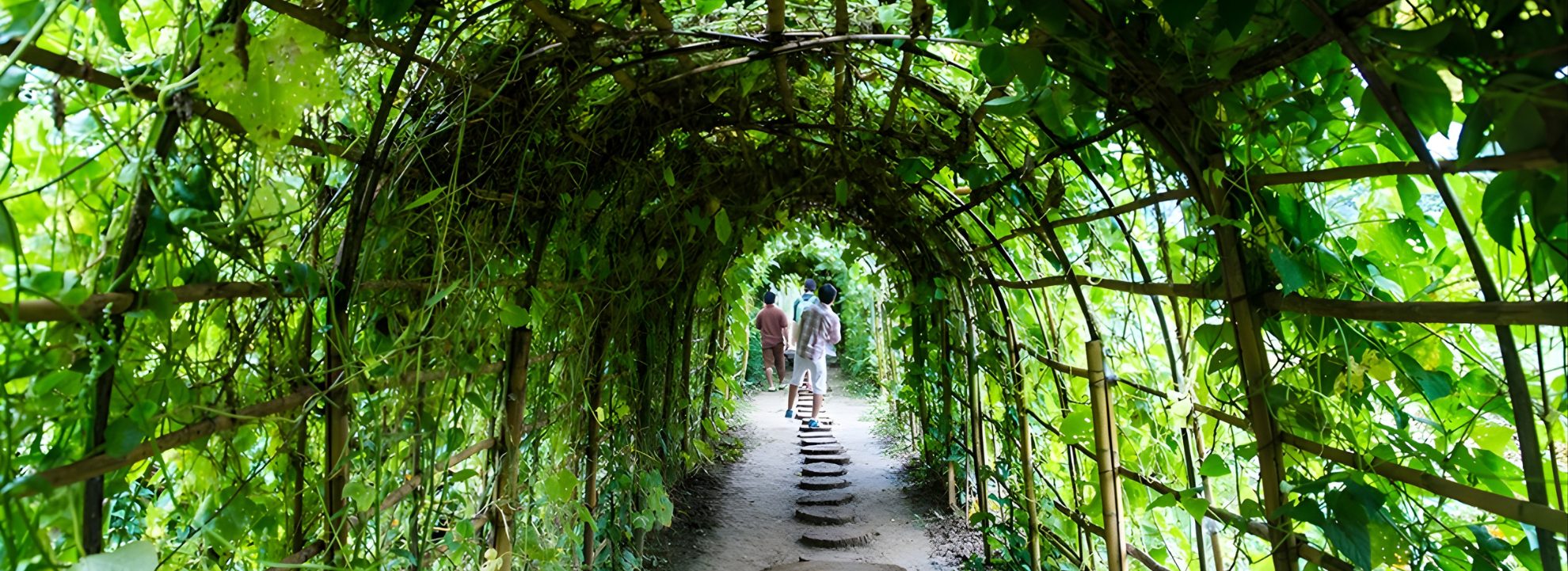 Luang Prabang & Beyond – 6 night – 7 days