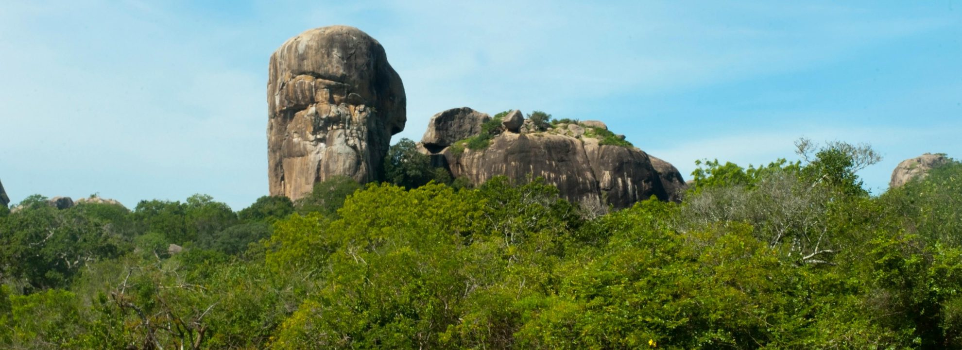 Safari in Sri Lanka – 4 nights – 5 days