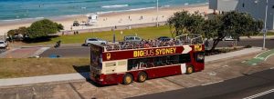 Big Bus Sydney open-top sightseeing bus driving along Bondi Beach coastline, Sydney Australia
