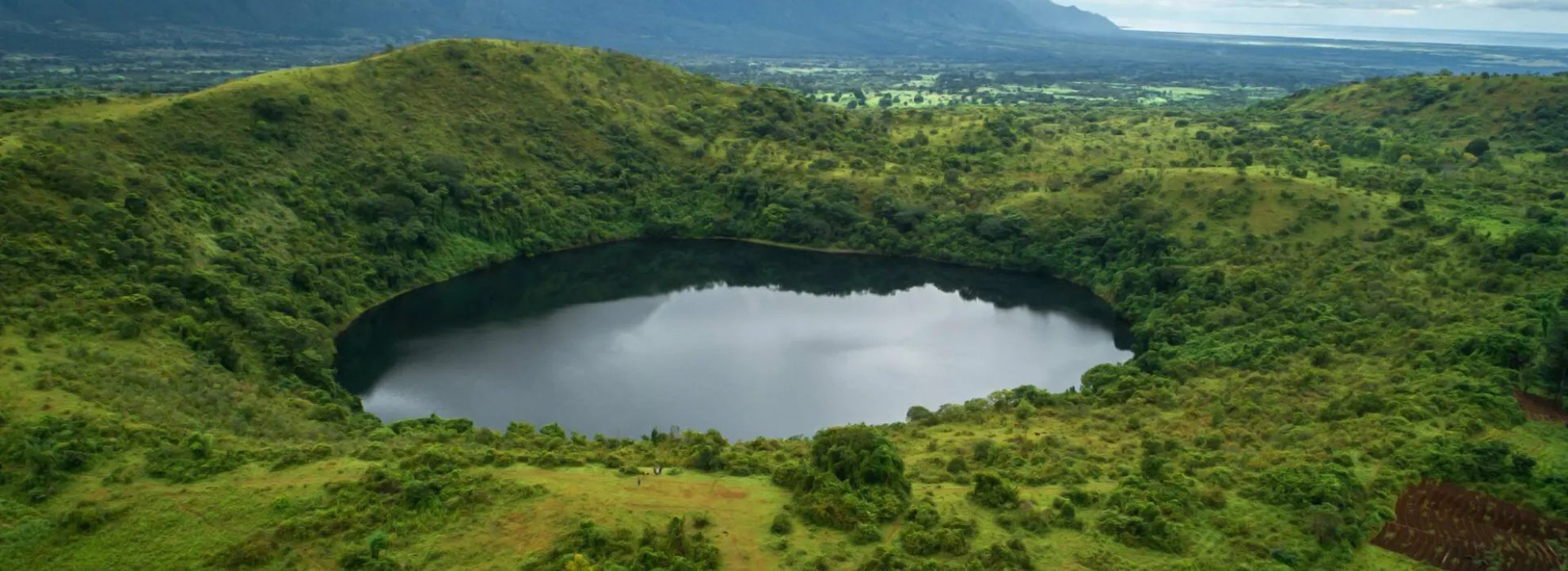 Epic Rwanda Gorilla Safari Adventure – 3 nights – 4 days