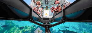 Tourists looking through a glass-bottom boat at colorful fish and coral reef underwater
