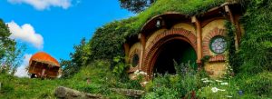 Hobbiton movie set hobbit house with round green door, lush garden, and grassy roof in New Zealand