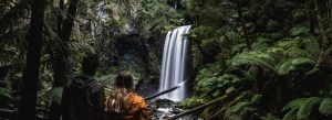 Couple admiring a scenic waterfall in a lush rainforest surrounded by ferns and rocks
