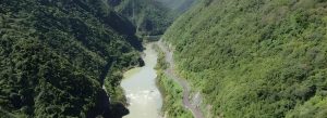 Winding road through Manawatū Gorge with river and lush green hills in New Zealand