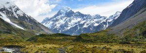 Aoraki Mount Cook snow-capped peak towering over alpine valley and green meadows in New Zealand