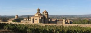 Historic Monastery of Poblet surrounded by vineyards in rural Catalonia under a clear blue sky