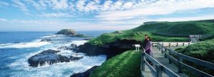 Enjoy coastal views from a wooden boardwalk at Phillip Island, overlooking rugged shoreline and ocean waves near The Nobbies.