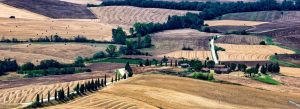 Rolling golden hills of Val d'Orcia with hay bales, cypress-lined roads, and rustic farmhouses under a serene sky.
