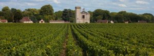 Rows of vineyards in Burgundy leading to a historic stone tower in the French countryside