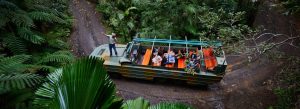 World War II Army Duck vehicle touring Rainforestation Nature Park rainforest in Kuranda Queensland Australia with guide and visitors