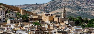 Aerial view of the historic city of Fez, Morocco with traditional buildings, mosque tower, and surrounding hills.