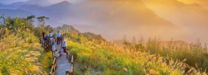 Visitors walking through the scenic mountain trails of Alishan National Scenic Area in Taiwan during sunset