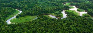 Aerial view of winding rivers flowing through dense green Amazon rainforest in Brazil