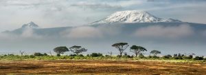 Snow-capped Mount Kilimanjaro towering above Amboseli National Park with acacia trees and misty plains in Kenya.
