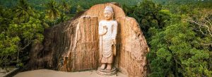 Ancient Avukana Buddha statue carved into a granite rock surrounded by lush tropical forest in Sri Lanka