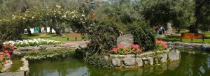 Peaceful pond and gardens at Bosque El Olivar Park in San Isidro, Lima, Peru.