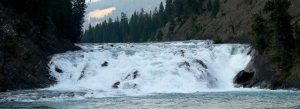 Bow Falls cascading along the Bow River surrounded by forest and rocky cliffs in Banff National Park, Alberta, Canada.