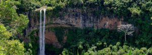 Scenic view of Chamarel Falls surrounded by dense tropical forest