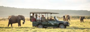 Tourists on a luxury safari game drive watching elephants in Masai Mara National Reserve, Kenya