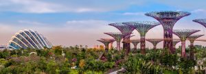 Gardens by the Bay featuring Supertree Grove and futuristic conservatories surrounded by lush tropical greenery in Singapore.