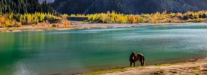 Turquoise waters of Issyk Lake surrounded by mountains and forest near Almaty Kazakhstan
