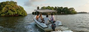 Tourists enjoying a scenic boat ride through the mangrove forests of Madu River in Sri Lanka