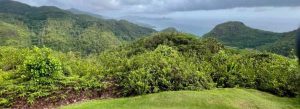 Panoramic view from Mission Lodge overlooking lush green mountains and the Indian Ocean in Seychelles.
