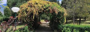 Flower-covered arch in the Royal Botanical Garden, Serbithang, near Thimphu, Bhutan