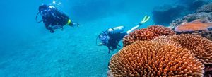 Scuba divers exploring colorful coral reef in Fiji’s clear tropical waters