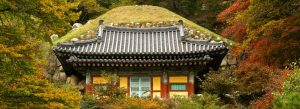 Traditional Korean temple building beneath a grassy burial mound at Bulguksa Temple surrounded by vibrant autumn foliage.