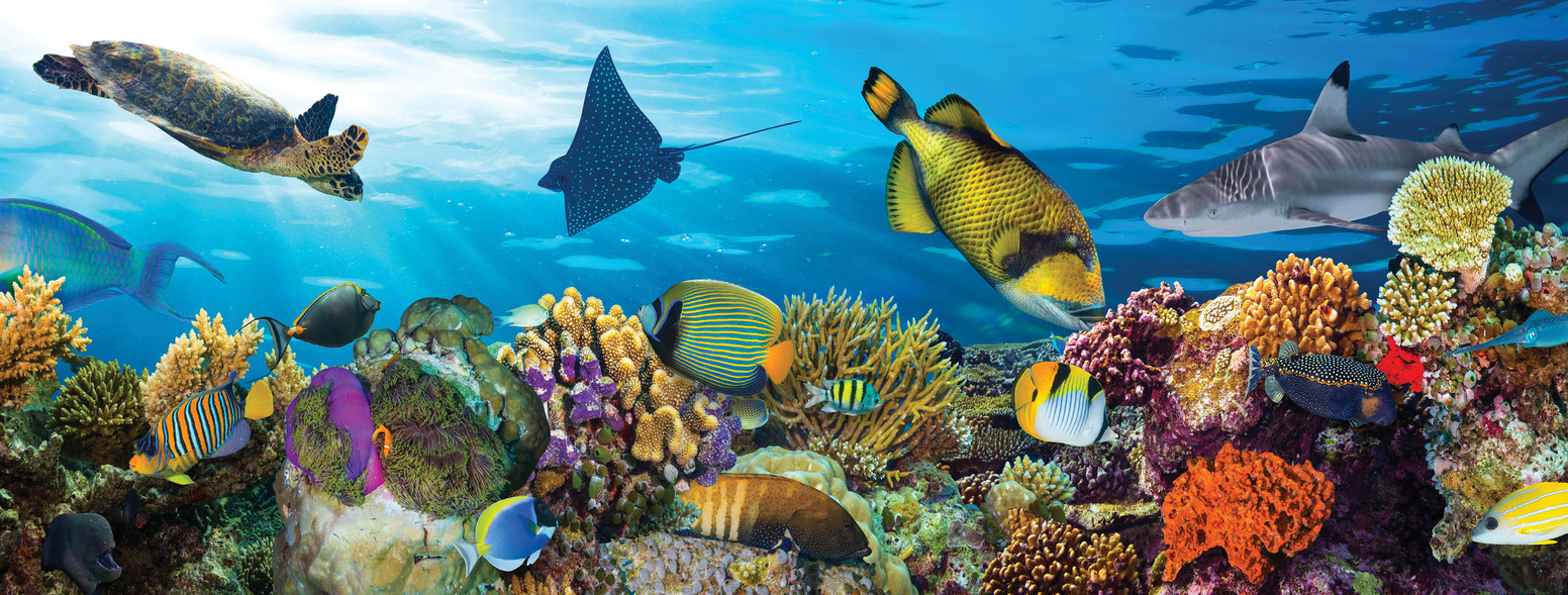 Top Australia Attractions