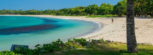Natadola Beach Fiji with turquoise water, white sand shoreline, and palm trees along the coast