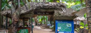 Entrance to Vallée de Mai Nature Reserve tropical forest on Praslin Island in Seychelles surrounded by palm trees and jungle vegetation.