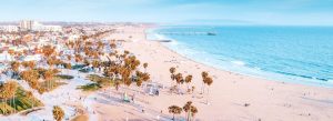 Aerial view of Venice Beach in Los Angeles with palm trees, sandy beach, ocean waves, and the famous beachfront boardwalk.