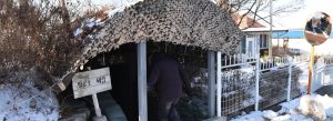 Visitor entering a camouflage-covered bunker at Korean Demilitarized Zone in winter, showcasing security infrastructure near Unification Village